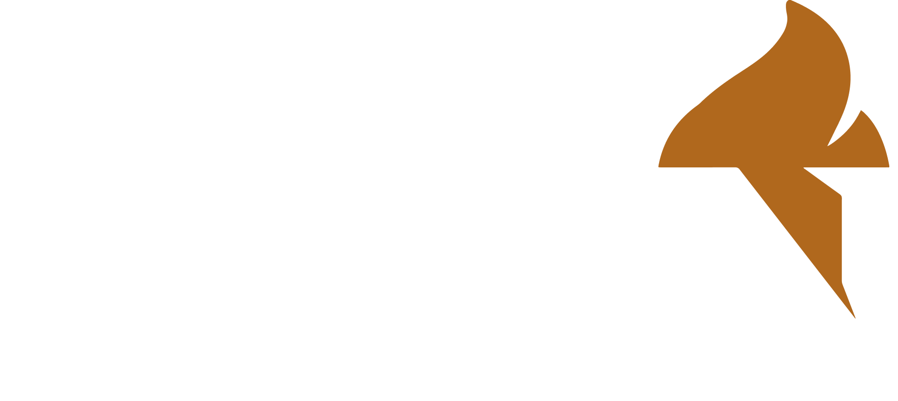 Logo Parceiro