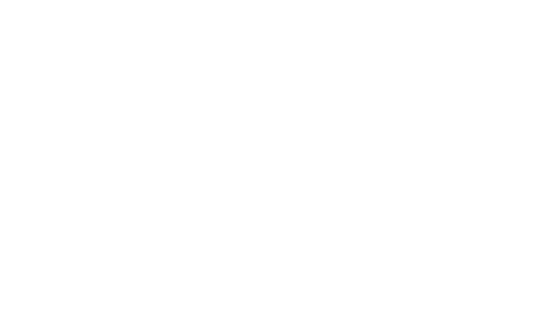 Logo Parceiro